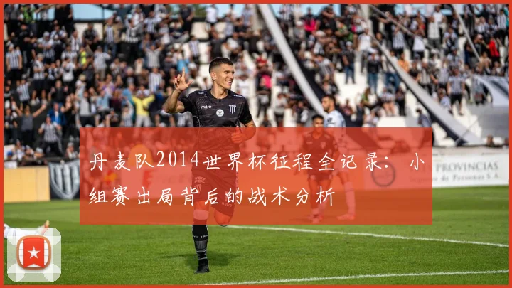 丹麦队2014世界杯征程全记录：小组赛出局背后的战术分析